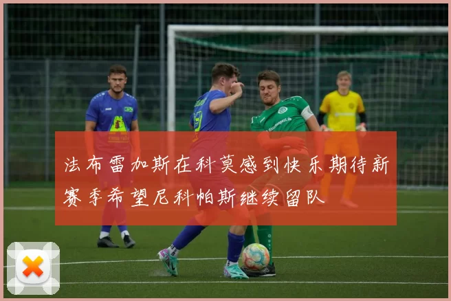 法布雷加斯在科莫感到快乐期待新赛季希望尼科帕斯继续留队