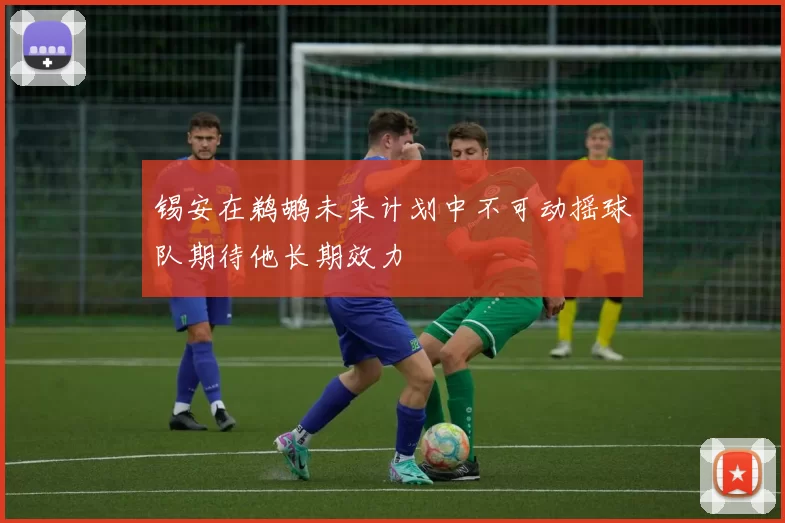 锡安在鹈鹕未来计划中不可动摇球队期待他长期效力