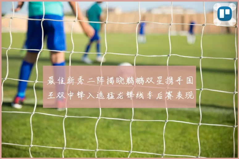 最佳新秀二阵揭晓鹈鹕双星携手国王双中锋入选猛龙锋线季后赛表现抢眼